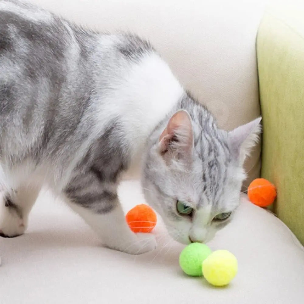 CosyNova™ Interactive Cat Ball Launcher