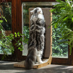 CosyNova™ L-Shape Cat Scratcher